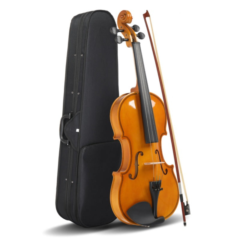 4/4 Violin Set for Adults Beginners with Hard Case,Violin Bow,Shoulder Rest,Rosin,Extra Strings and Sordine