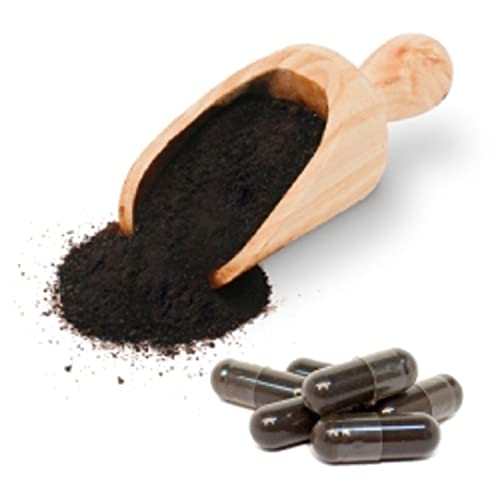 Sunfood Superfoods Shilajit Extract Capsules- Raw. 700mg. 90 ct – Sunleafy